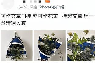 溢出屏幕的无奈！美媒晒图对比詹姆斯和布朗手指屏幕申诉判罚